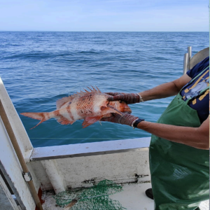 Ruta de los Pescadores