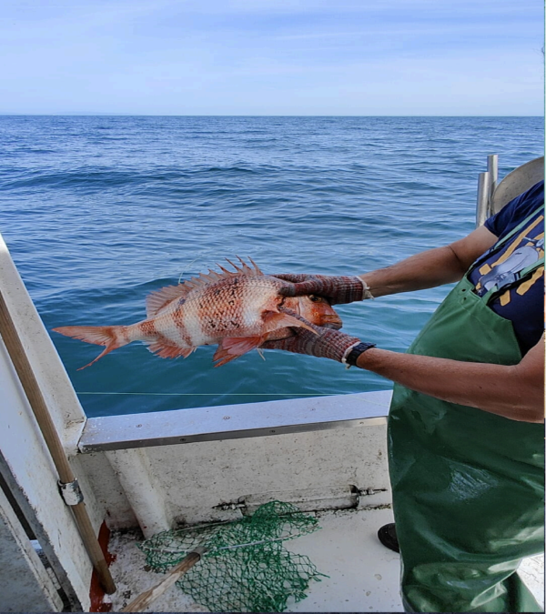 Ruta de los Pescadores