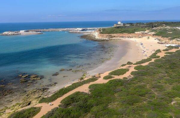 Navega por la Costa de Conil - Imagen 2